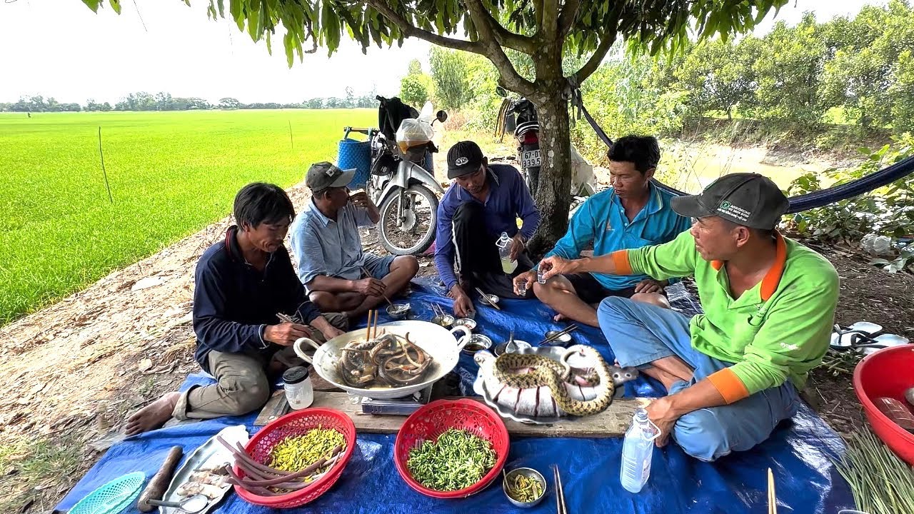 Đặc Sản Rắn Râu Trộn Gỏi Rau Cần Và Những Câu Chuyện Kể Hồi Xưa | mưu sinh miền quê#584