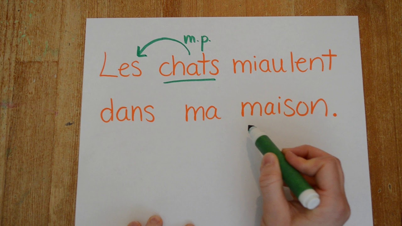 Français - le nom commun