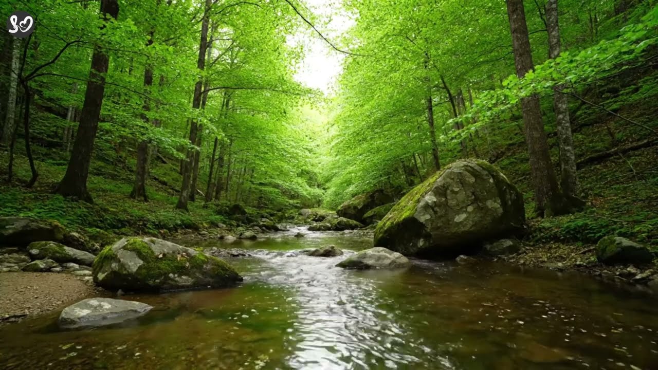 Relaxing with the sounds of nature, flowing water, and singing birds /Part 2 #relax #naturesounds