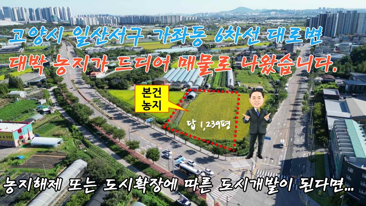 고양시 일산 가좌동 6차선에 붙은 단절된 농지가 매물로 나왔습니다.