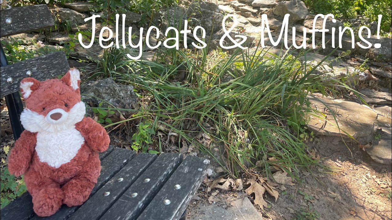 💚Jellycat Hunt🤎Pumpkin Muffins and More🧸- Vlog | Swirly Curl