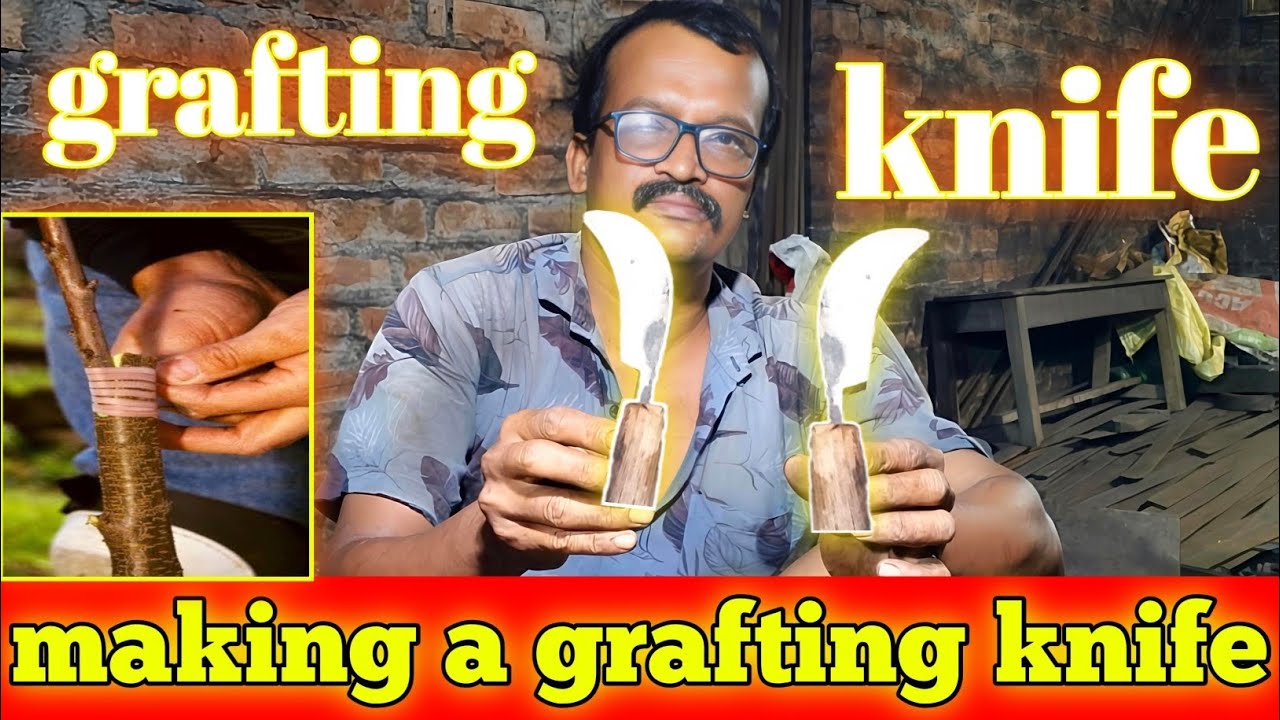 Making a grafting knife,, grafting knife #wood #walding #ironsmith #grafting #grafting 