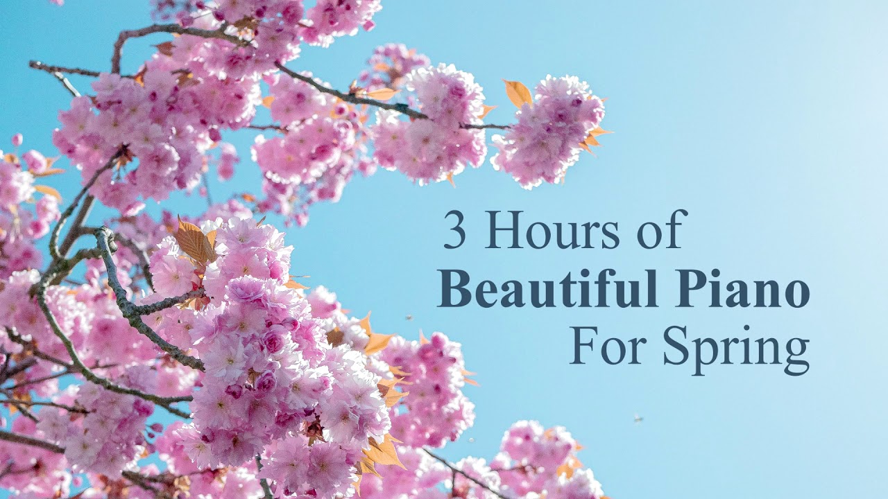 3 Hours of Beautiful & Nostalgic Piano Music for Spring &ndash; For Studying and Relaxation ✿｜BigRicePiano