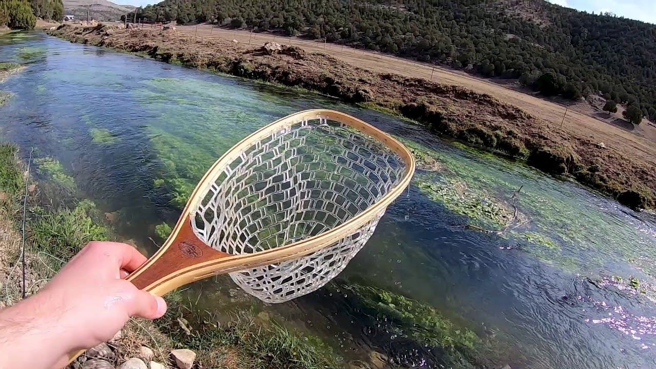 Fishing for Trout in New Mexico