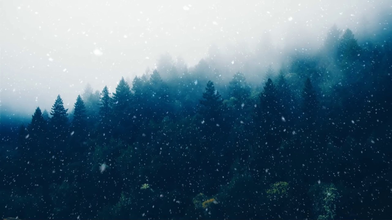 Mind in Peace | Beautiful Chill Mix