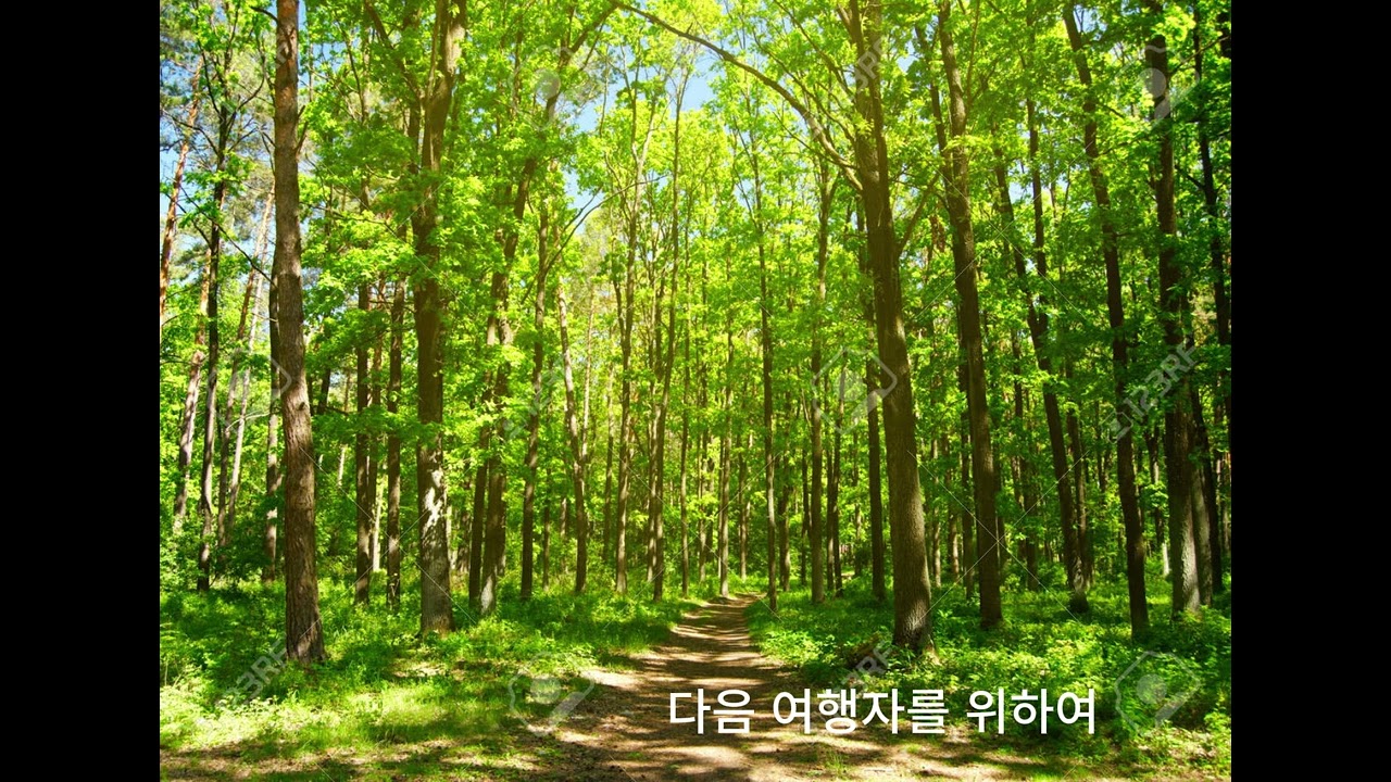 [NADA Music] 잠시 쉬어가는 카페, 다음 여행자를 위하여