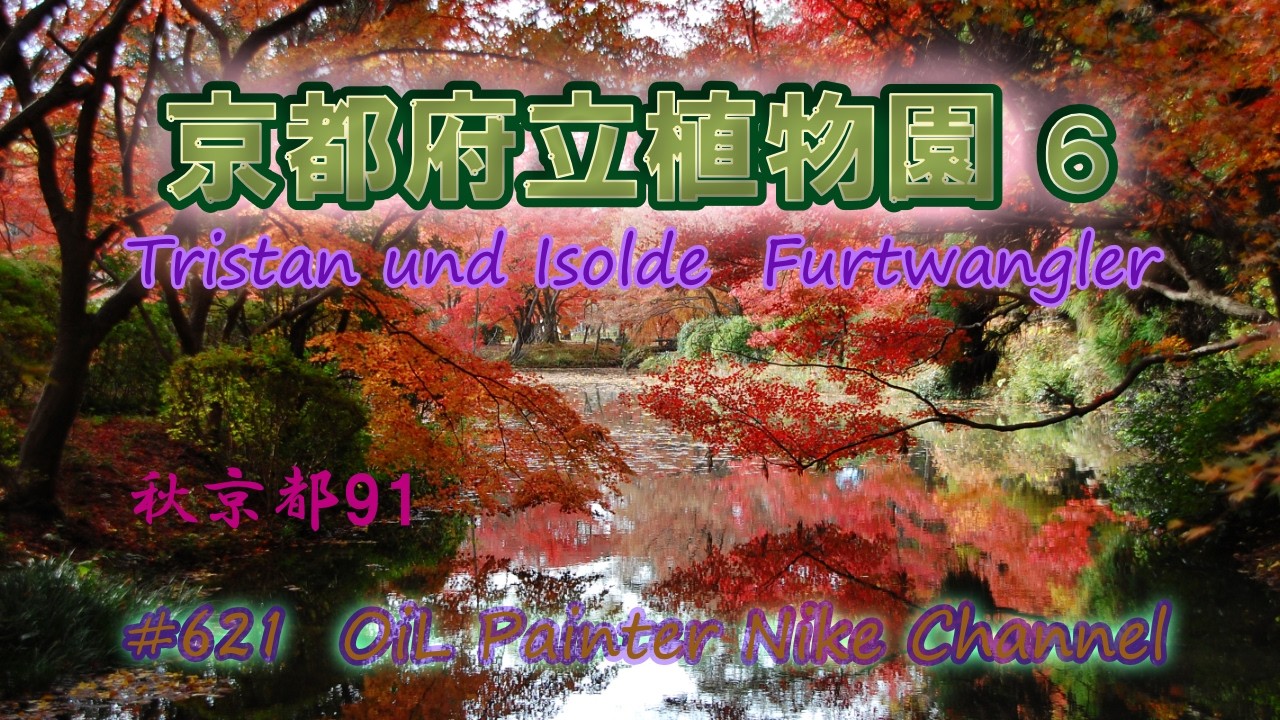 京都府立植物園６  #621     京都第９集９１