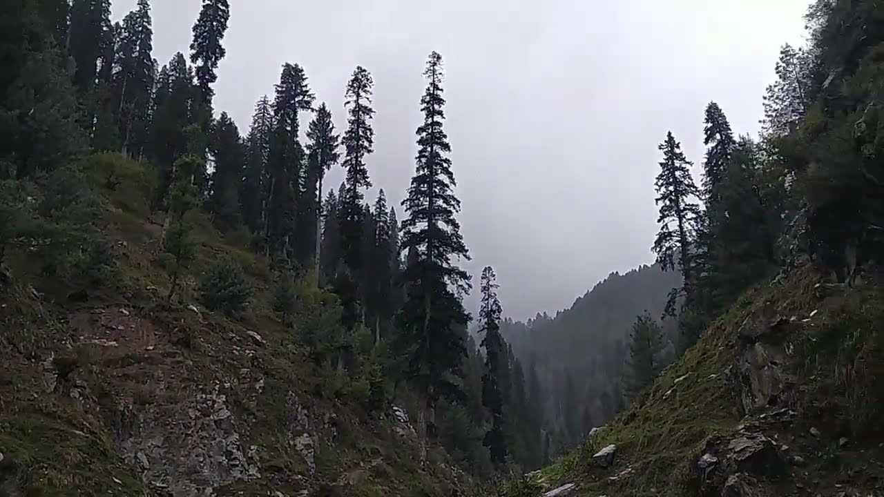 jarogo abshar