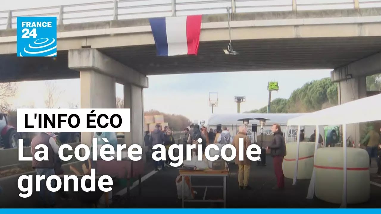 Dermatose bovine, Mercosur et PAC&nbsp;: la col&egrave;re agricole gronde &bull; FRANCE 24