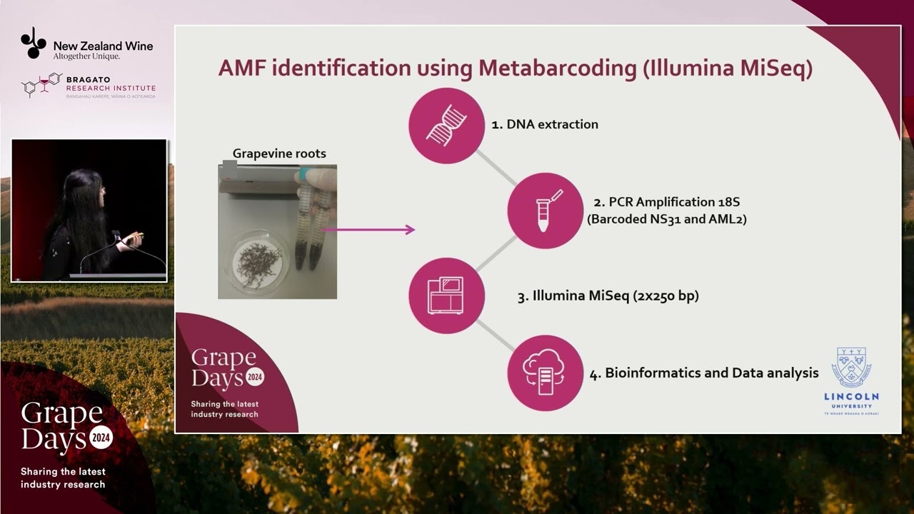 Grape Days 2024 | Vineyard management systems influence on Mycorrhizal fungi | Dr Romy Moukarzel
