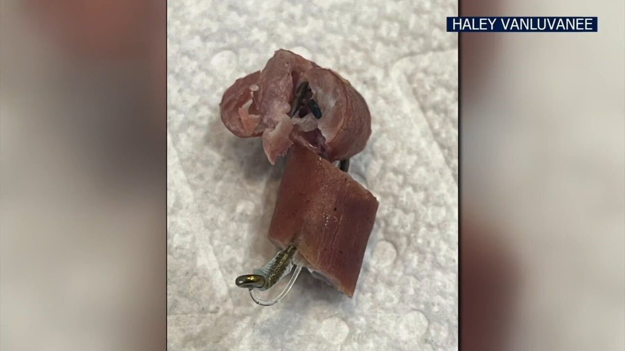 Resident warns dog owners after fishhooks with beef found in Easton
