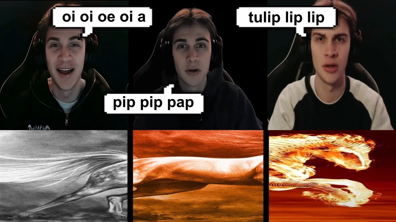 Oi oi oi a aye aye Guy Meme vs Pap pip pip pap vs Tulip lip lip
