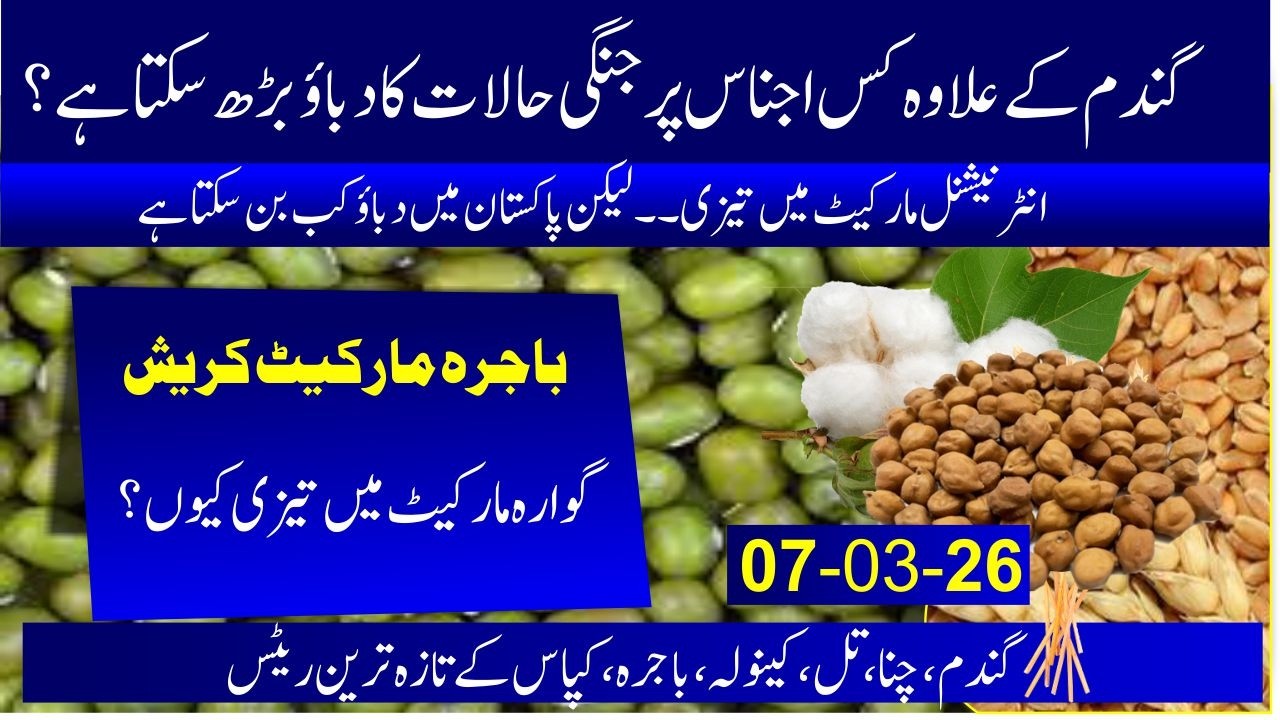 Today Wheat Globle Market | Wheat price today in punjab | guar price india vs pakistan | chana