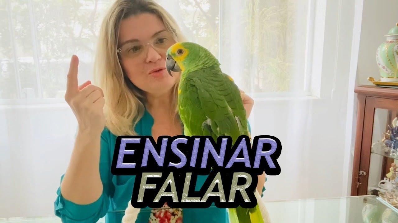 КАК ЗАНЯТЬ РАЗГОВОР ПОПУГАЯ? - САМЫЙ ВЕСЕЛЫЙ ГОВОРЮЩИЙ ПОПУГАЙ!