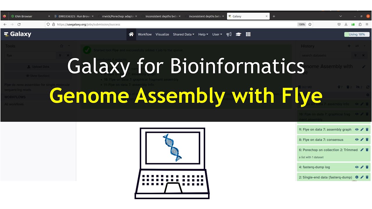 Galaxy Tutorials  for Bioinformatics | Genome Assembly of Long Reads using Flye