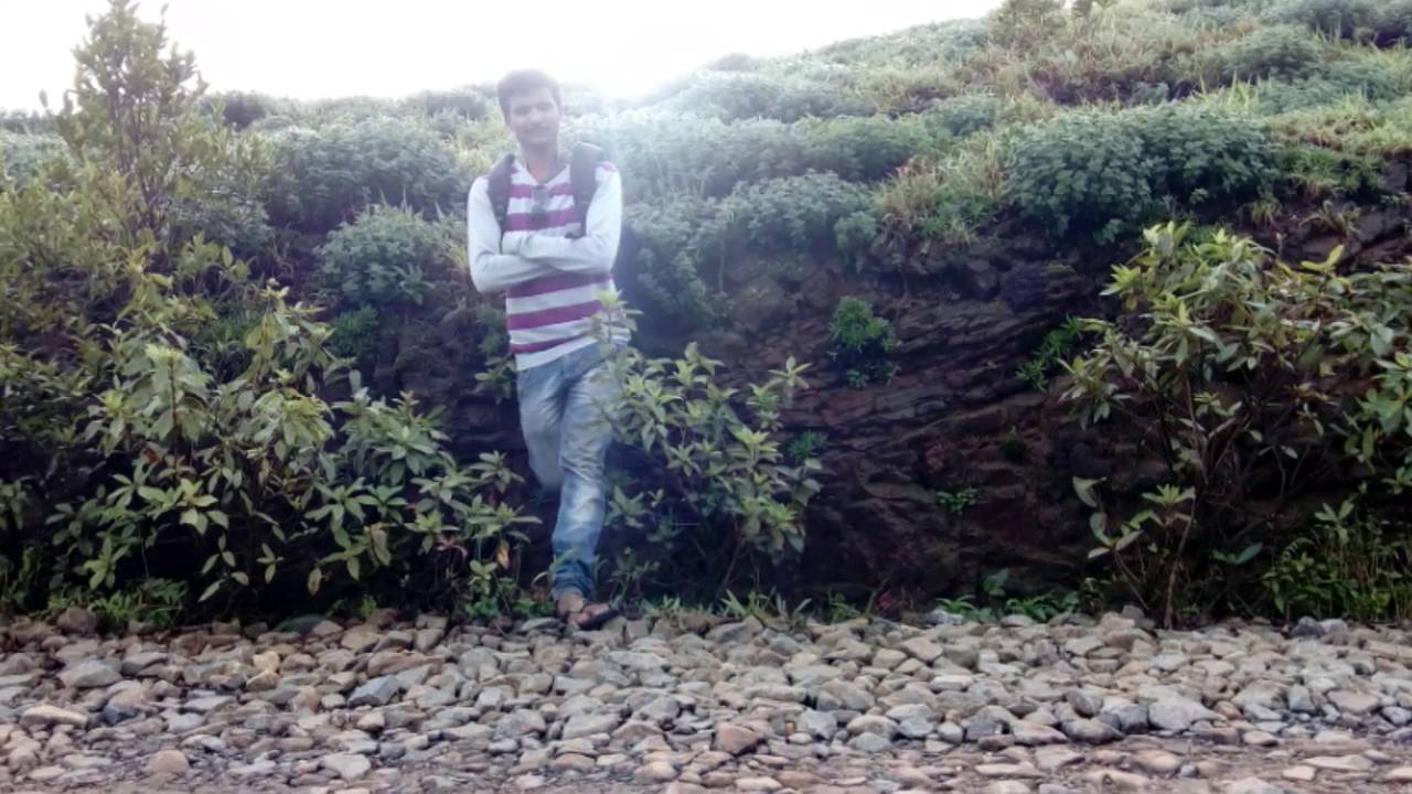 sarvana