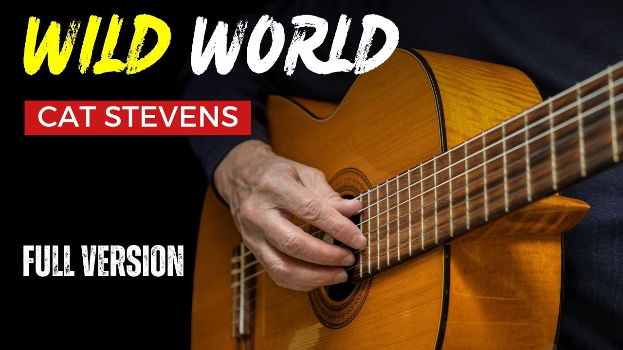 Wild World ~ Cat Stevens | EASY Fingerstyle Guitar Lessons TAB