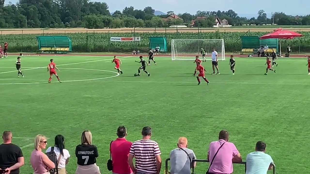 FK Sloboda Tuzla:FK Čukarički Beograd 1:2