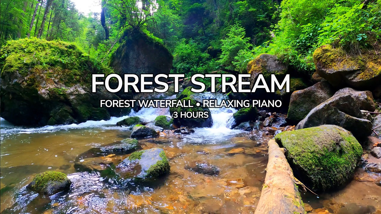 Whispering Forest 🌿 Relaxing Nature Sounds & Soft Piano (3 Hours) for Sleep, Study & Meditation