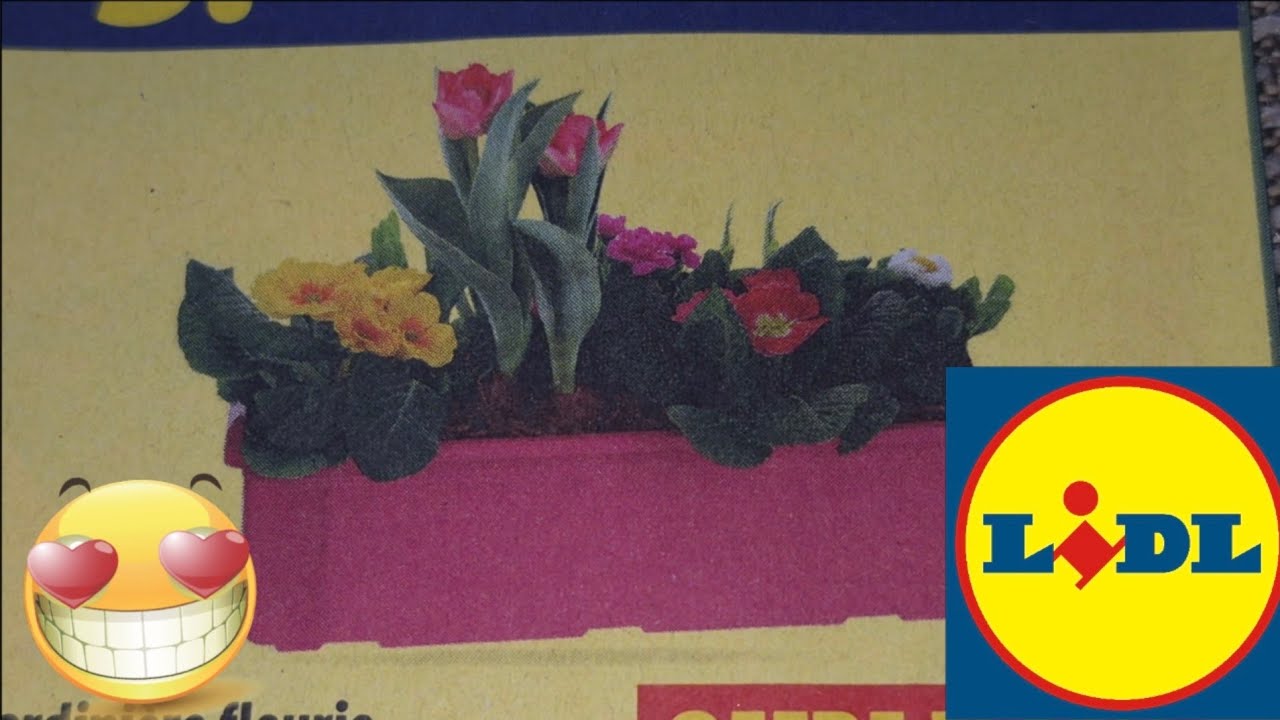 ARRIVAGE LIDL 3 FÉVRIER 2026