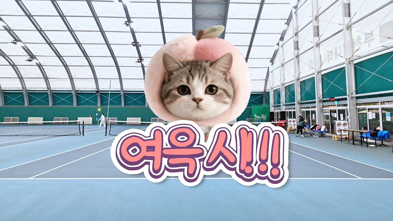 오렌지볼) 20251129 여윽시!!!! 우리 걸즈들♡