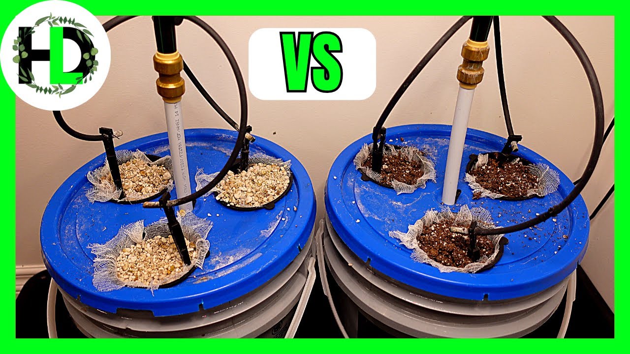 Coco Coir vs. Perlite: Which Growing Media is Best for Hydroponics?