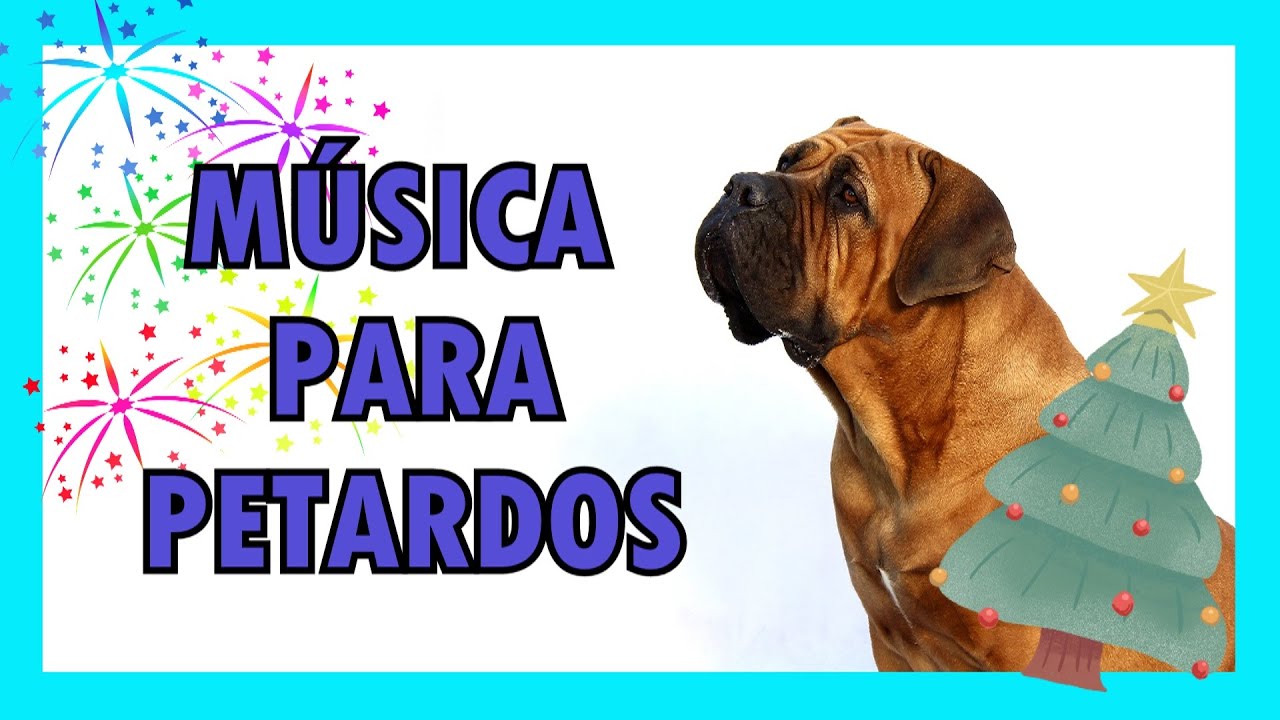 🎼Música RELAJANTE para PERROS y GATOS NERVIOSOS y ASUSTADOS por PIROTECNIA🧨