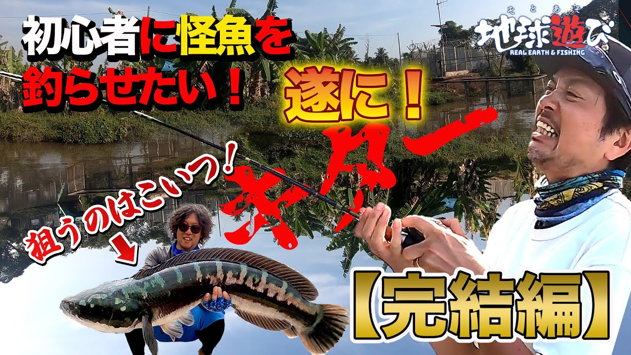 【マレーシア旅 後編】これぞ怪魚！超美しい虹色魚体にうっとり！【地球遊び325】
