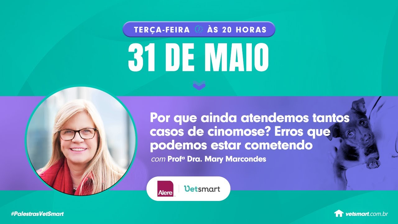 Por que ainda atendemos tantos casos de cinomose? Erros que podemos estar cometendo