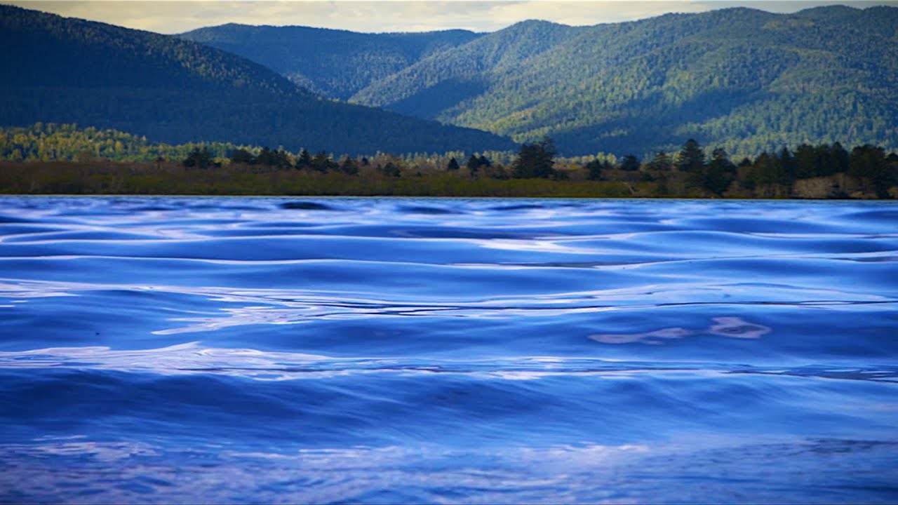 Water Sounds for Anxiety Relief, Stress Management, Focus 😌 Summer Lake White Noise