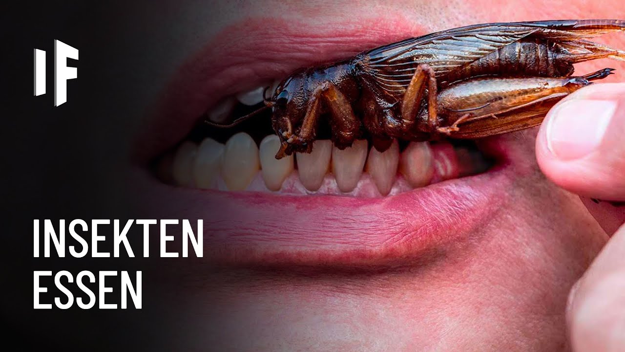 Was w&auml;re, wenn man nur noch Insekten essen w&uuml;rde?
