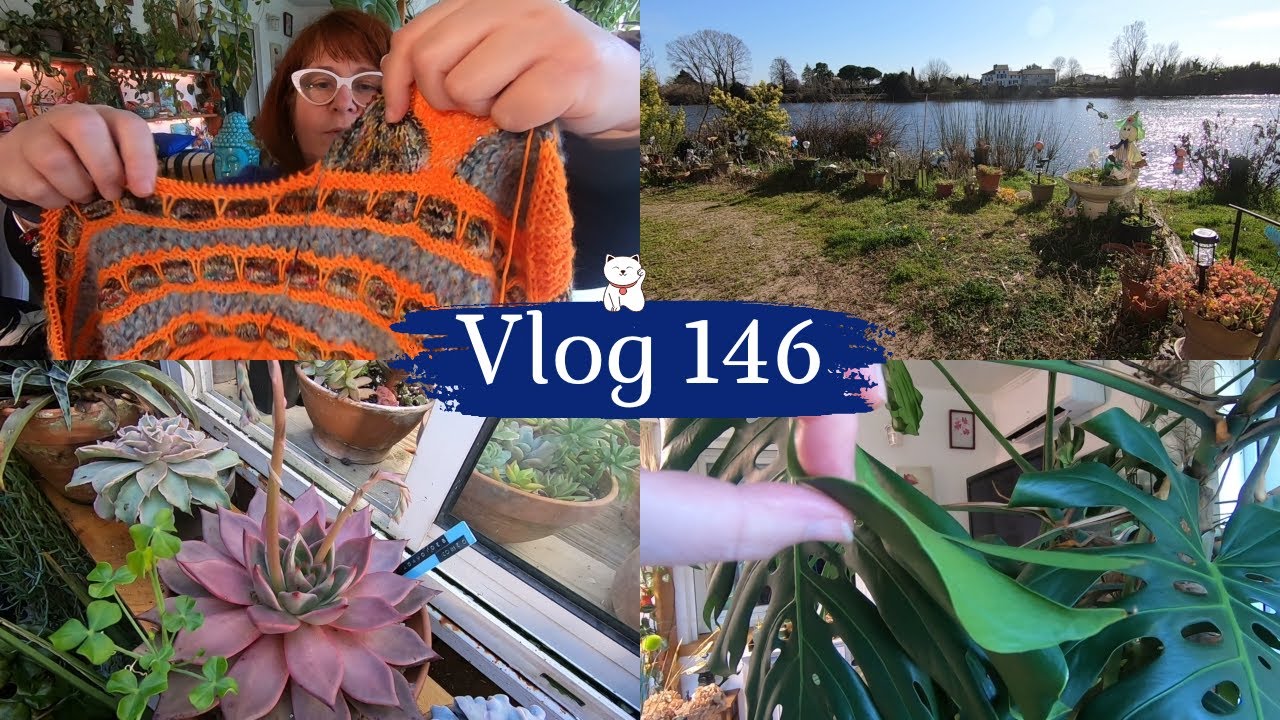 VLOG 146🌿 Comment savoir si le Monstera a soif | Un tour dans la véranda et la petite serre | Tricot