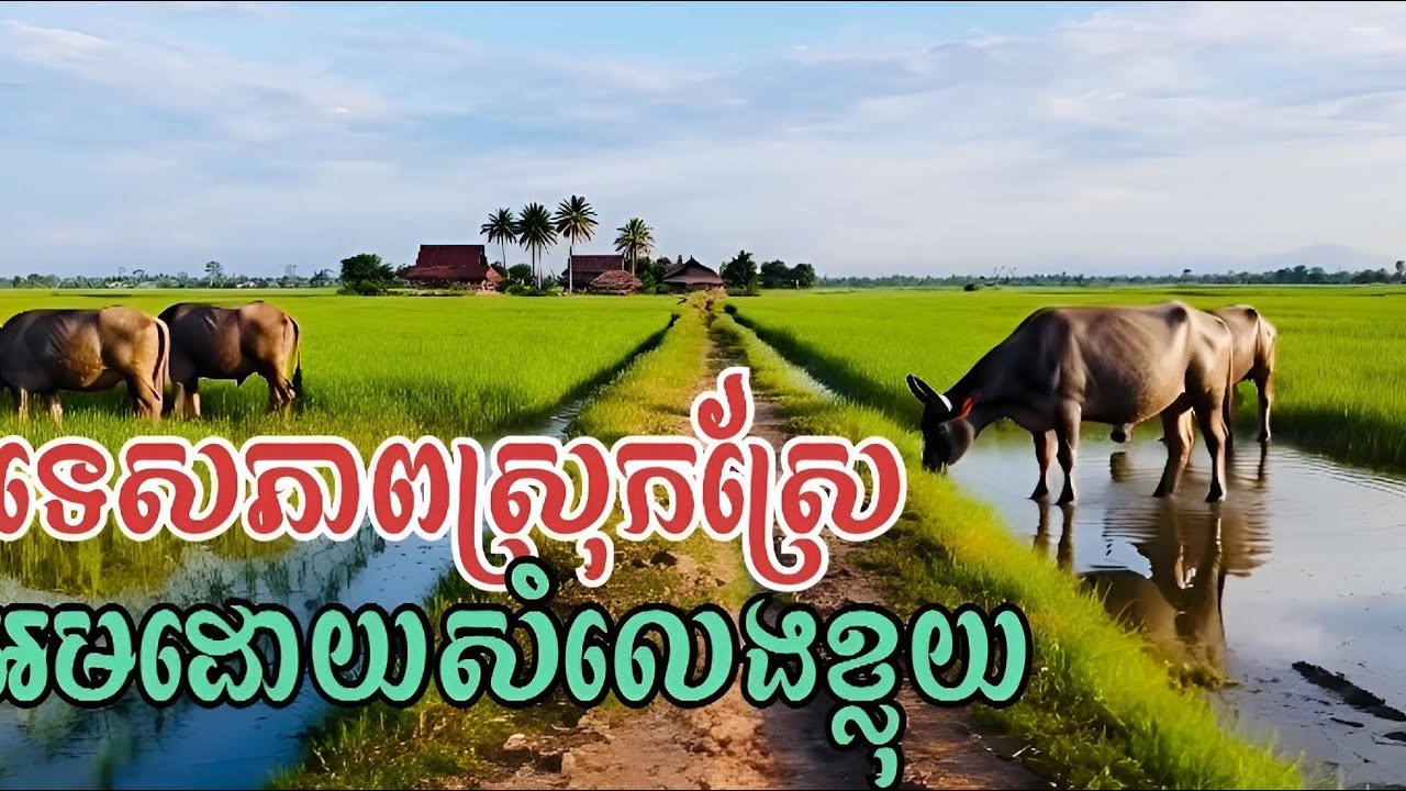 ទេសភាពស្រុកស្រែ អមដោយសំលេងខ្លុយ។