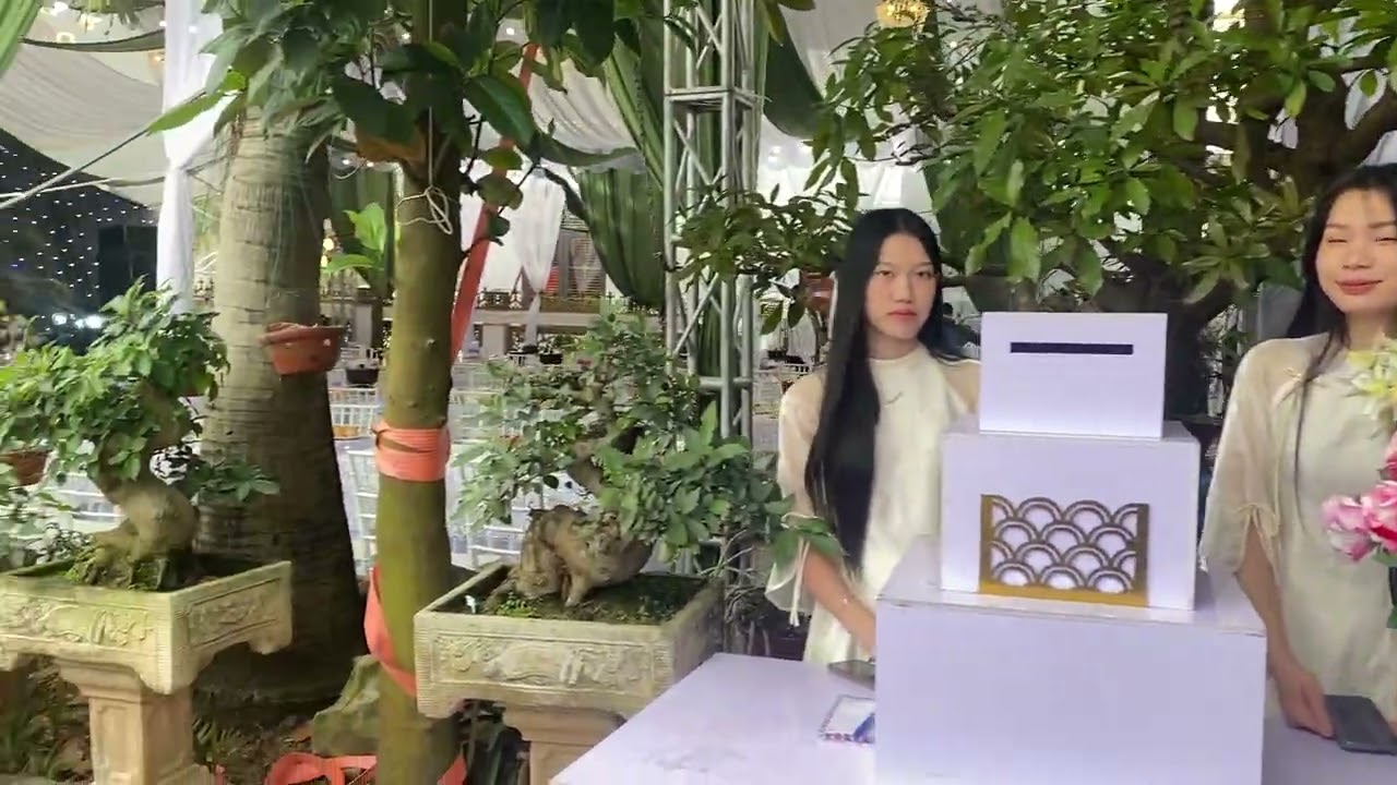 Hát cải lương trong tiệc cưới 
