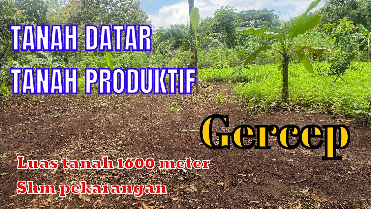 Di jual TANAH DATAR TANAH MERAH ( LUAS 1600 METER ) @rajiproperty channel