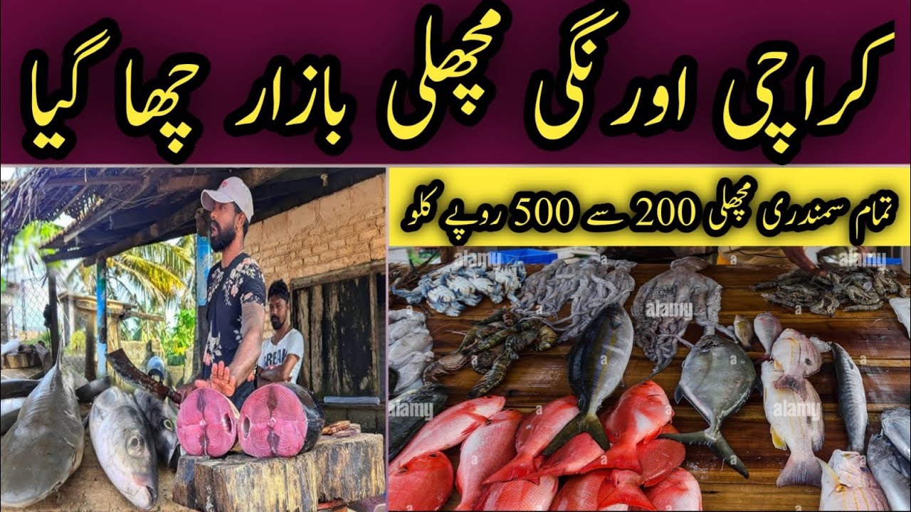 Karachi's Orangi Fish Market Becomes Famous | All Sea Fishes Rs 200 to Rs 500 kg 