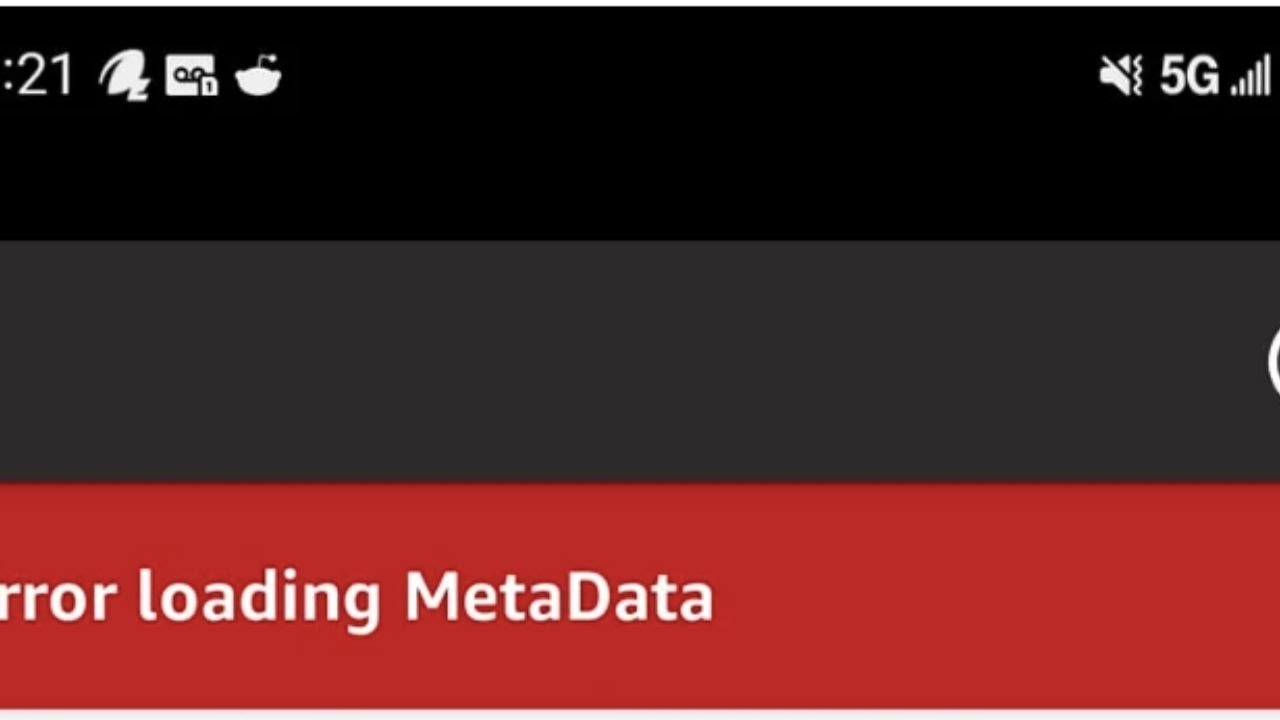 How To Resolve Amazon Flex: Error Loading Metadata?