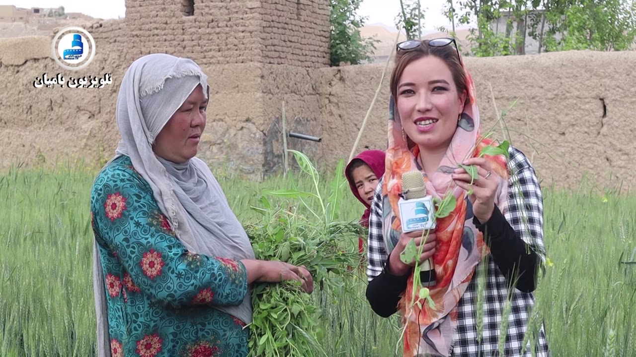 7: Agriculture in Bamyan کار و زندگی برنامه ۷: زنان زراعت پیشه