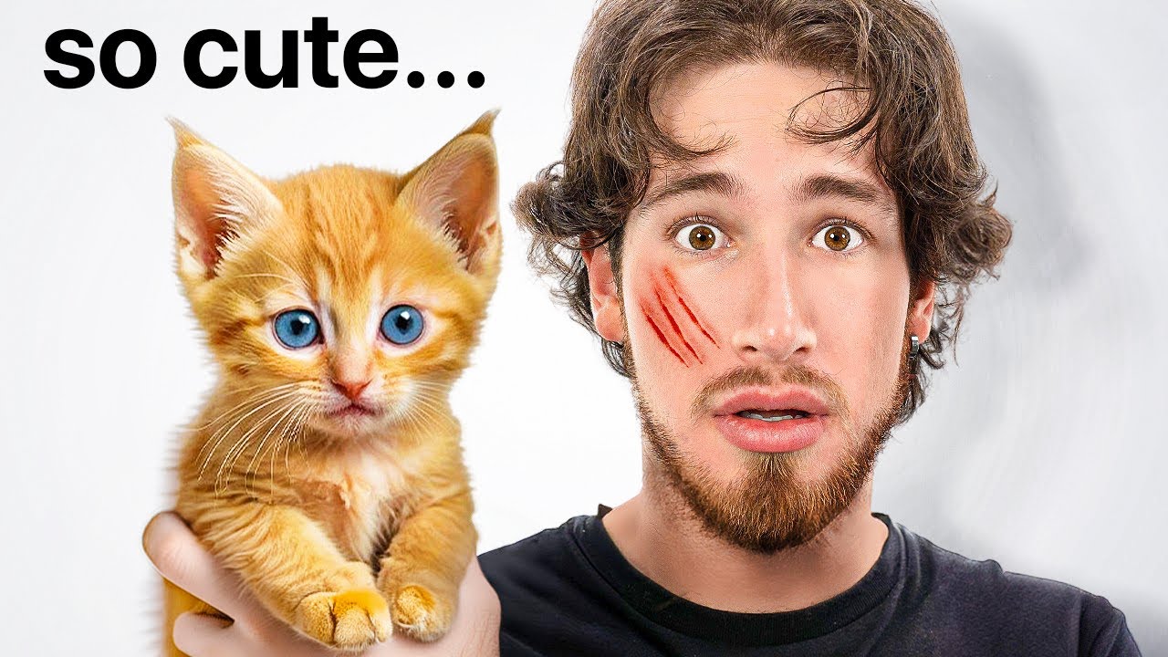 My Experience With Pets