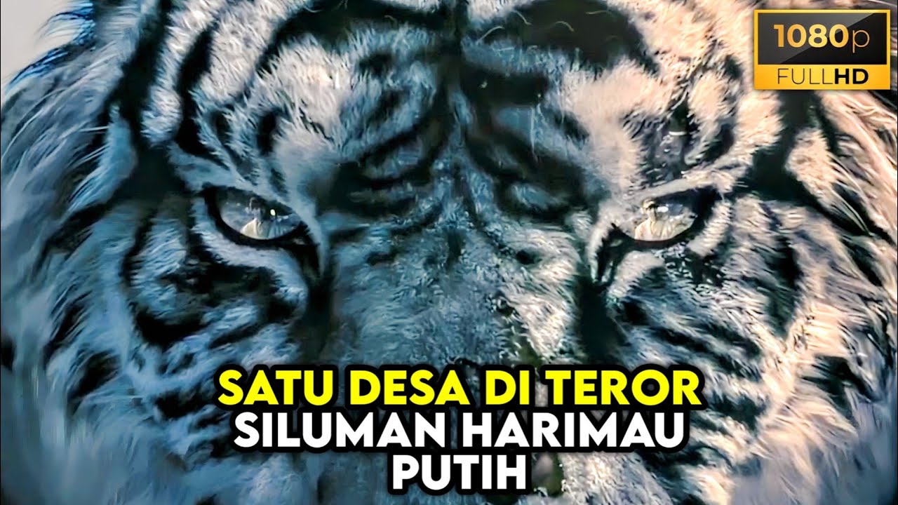 Satu Desa Hancur Akibat Serangan Siluman Harimau Putih - ALUR CERITA FILM