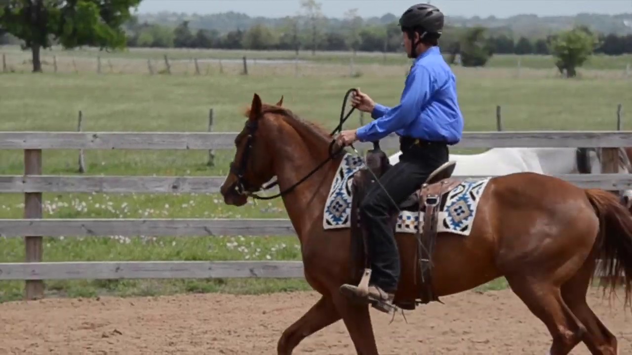Problem Solving With A Horse That Rears When Asked To Canter