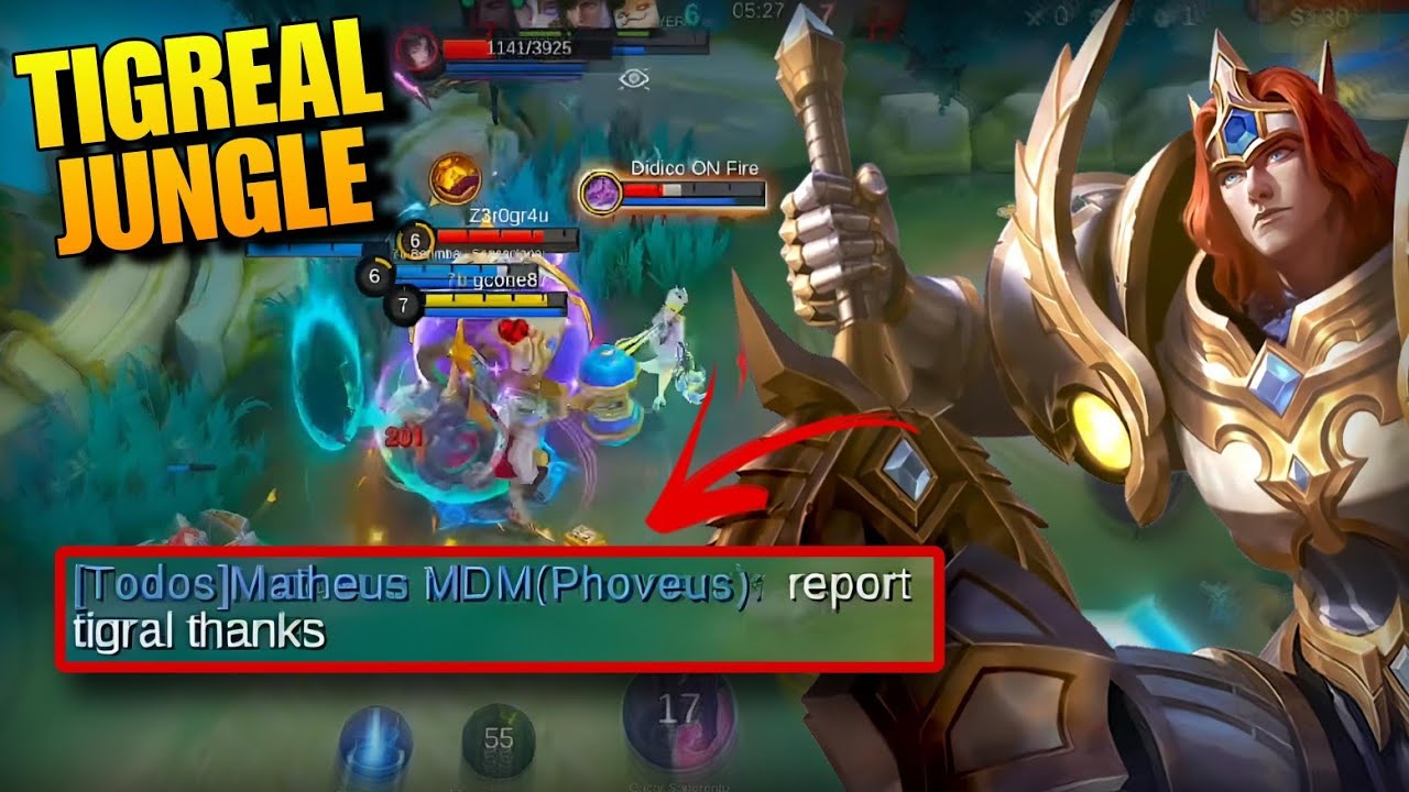FIZ TIGREAL JUNGLE E FUI REPORTADO | Mobile Legends 