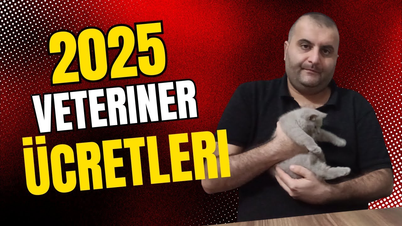 Kedimizi Veterinere Götürdük! 2025 Veteriner Ücretleri, Aşı, Parazit ve Kan Testi 💉🐱