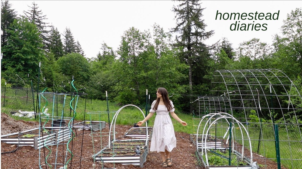 Homestead Diaries: orchard + garden tour | Day in My Life vlog
