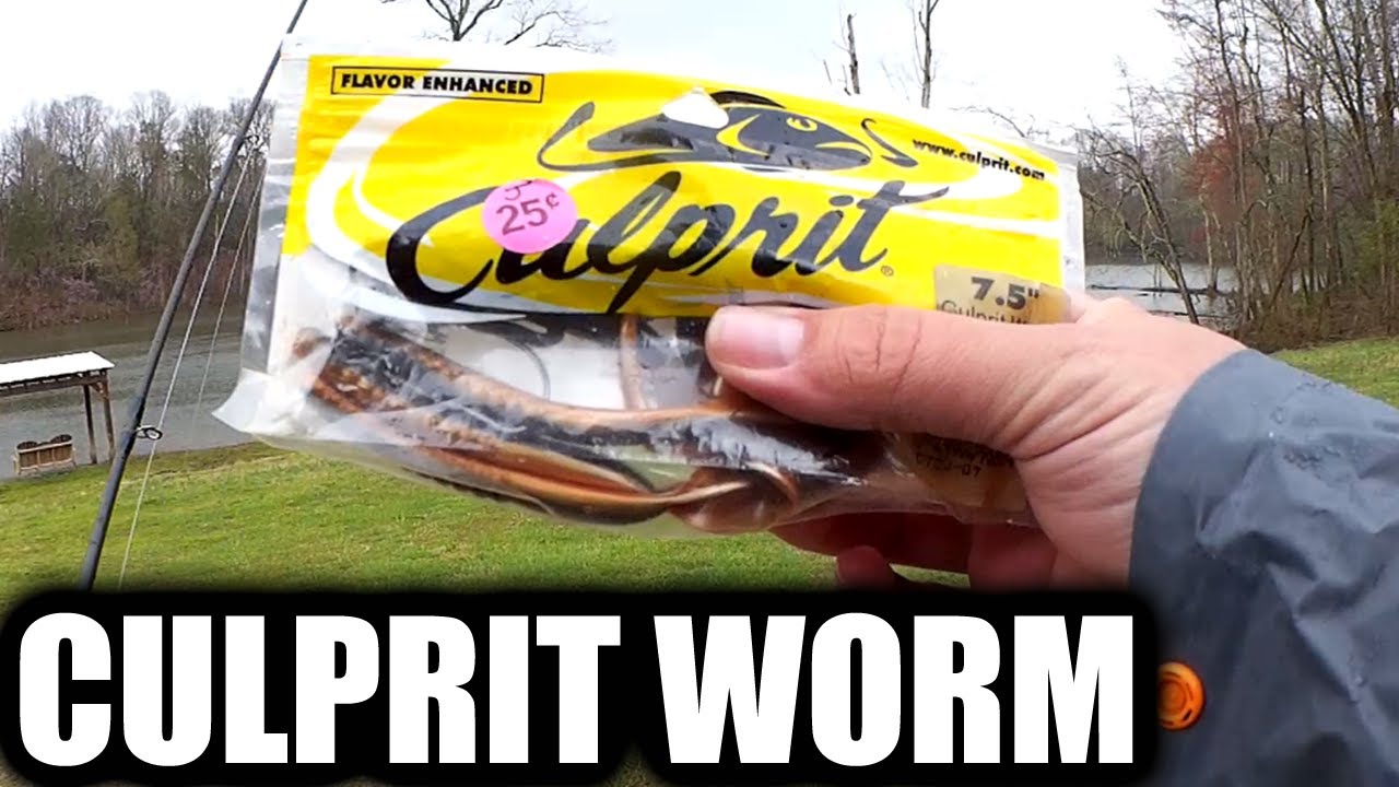Spring Bass Fishing From Shore - Culprit Worm vs Baby Brush Hog