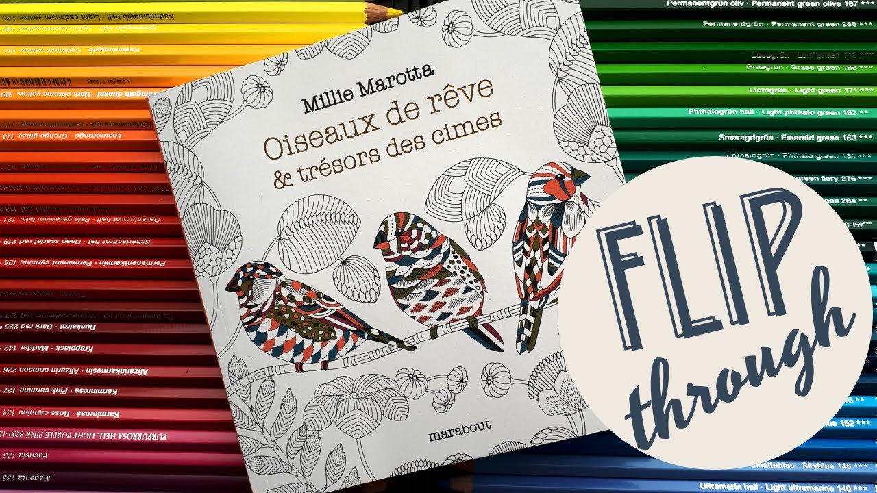 FLIP THROUGH | Mini livre de coloriage de Millie Marotta : Oiseaux de rêve