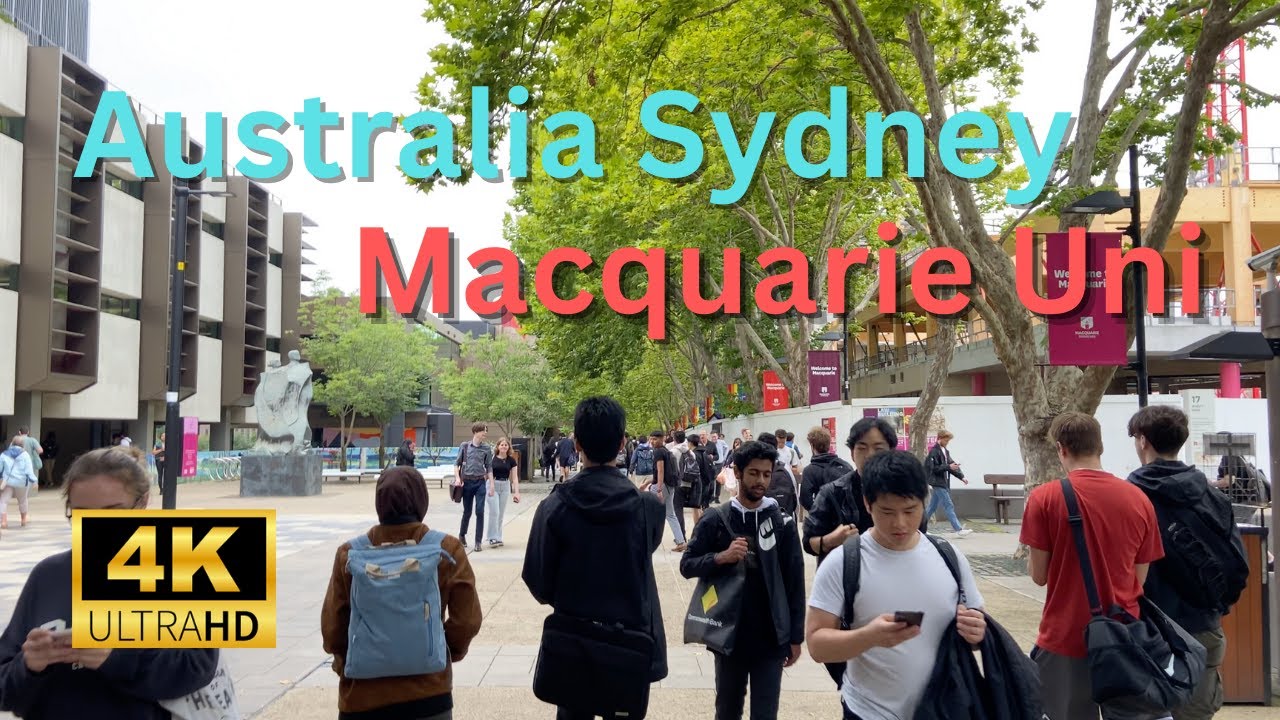 【4K Walk】Walking at Macquarie University in the rain in Australia Sydney 2023