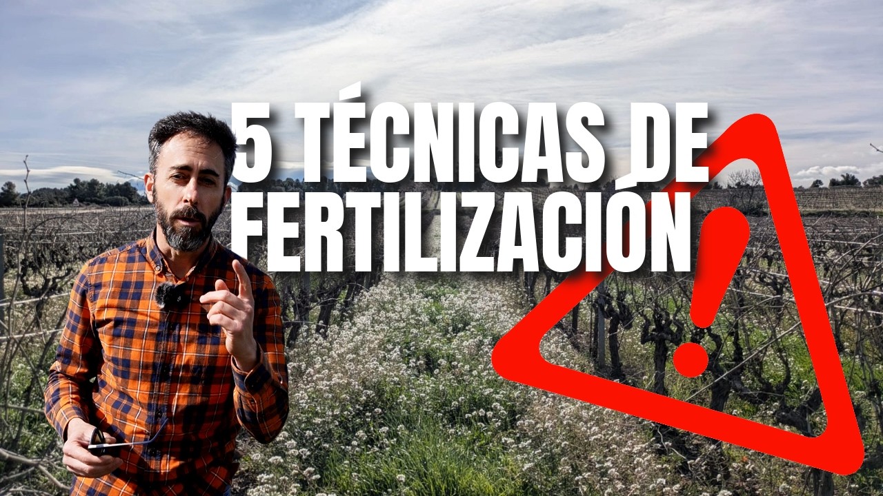 5 técnicas de Fertilización del viñedo con criterio