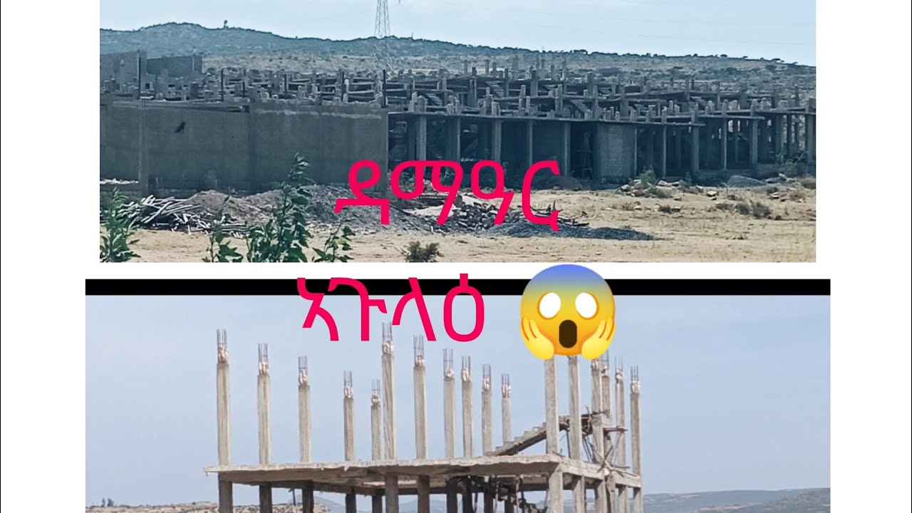 ዳማዓር ኣብ ከተማ ኣጉላዕ ከመይ ዝበለ እዩ 😱😱?አ