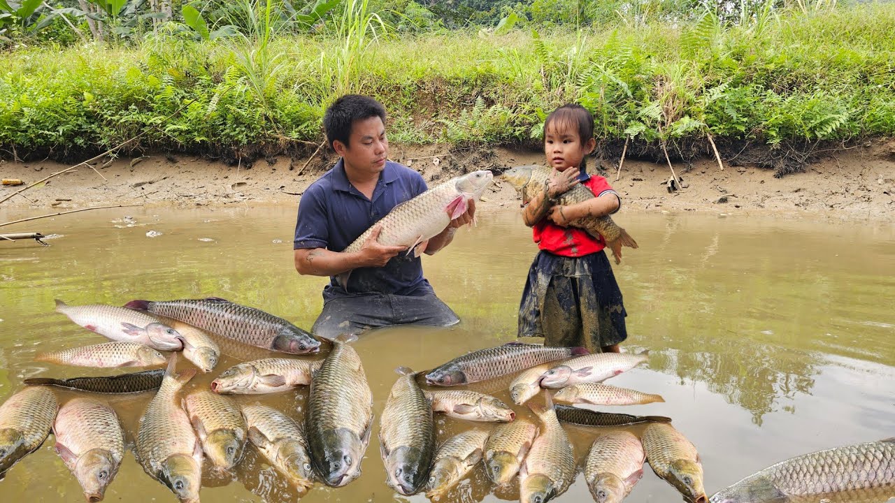 Full Video:Harvesting giant fish,Smoked gese,Pork oil fry,Sweet potato fries and fruit to sell.